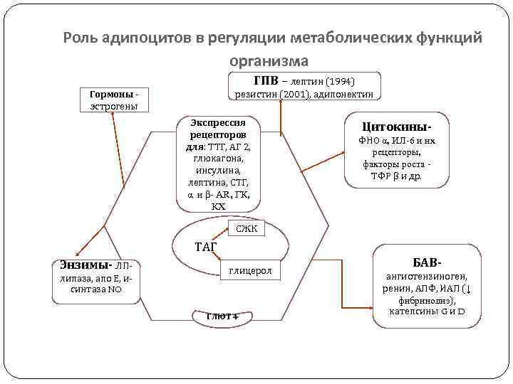 Роль адипоцитов в регуляции метаболических функций организма ГПВ – лептин (1994) резистин (2001), адипонектин