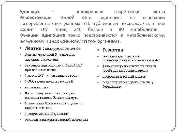 Адипоцит – эндокринная секреторная клетка. Реконструкция генной сети адипоцита на основании экспериментальных данных 510