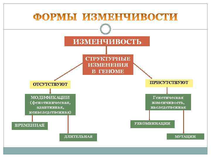 Отсутствует присутствует. Структурные изменения в геноме. Изменчивость микроорганизмов.