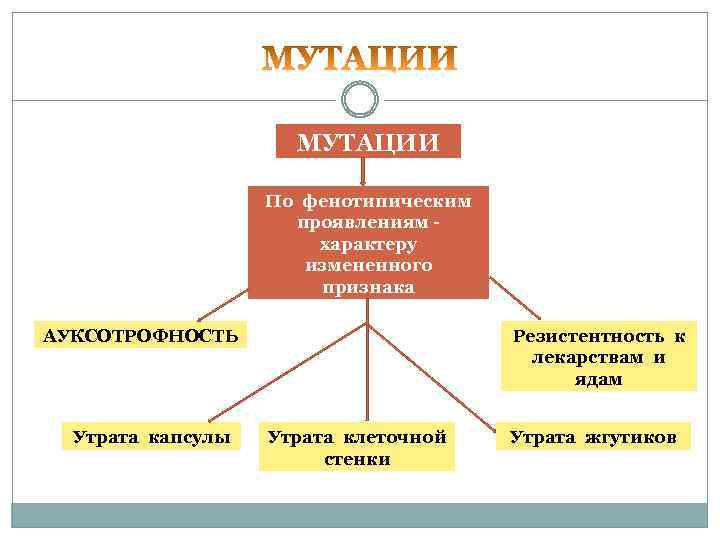  МУТАЦИИ По фенотипическим проявлениям - характеру измененного признака АУКСОТРОФНОСТЬ Резистентность к лекарствам и