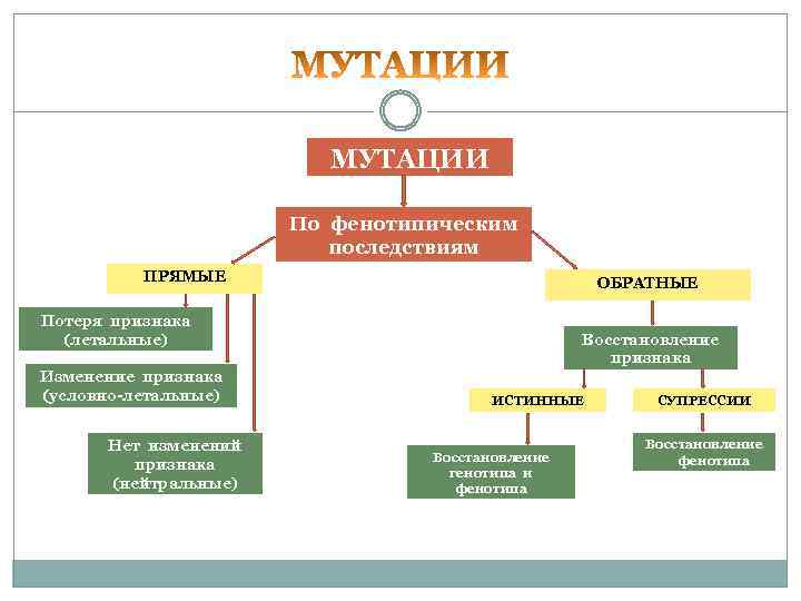  МУТАЦИИ По фенотипическим последствиям ПРЯМЫЕ ОБРАТНЫЕ Потеря признака (летальные) Восстановление признака Изменение признака