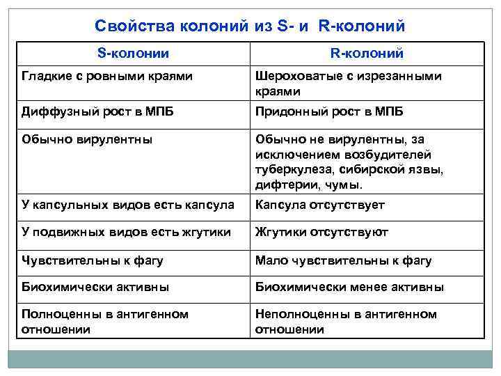  Свойства колоний из S- и R-колоний S-колонии R-колоний Гладкие с ровными краями Шероховатые