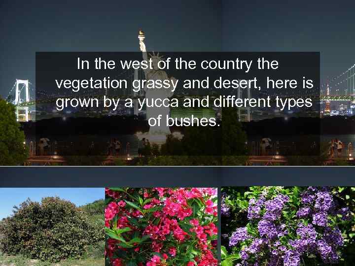 In the west of the country the vegetation grassy and desert, here is grown