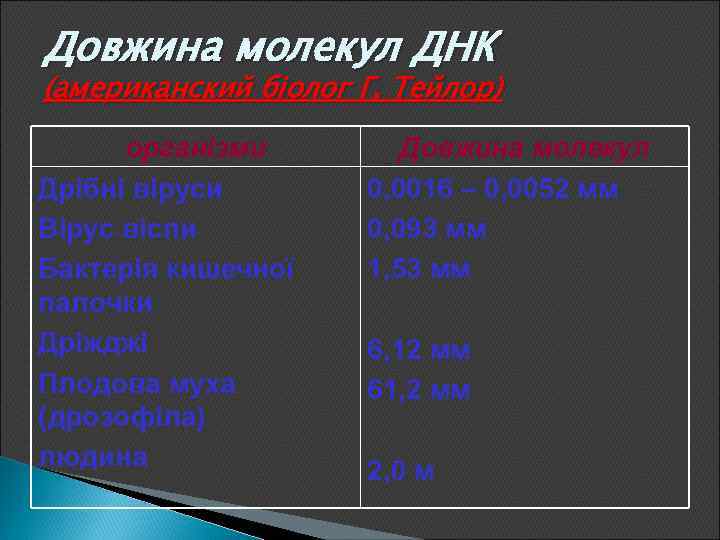 Довжина молекул ДНК (американский біолог Г. Тейлор) організми Дрібні віруси Вірус віспи Бактерія кишечної