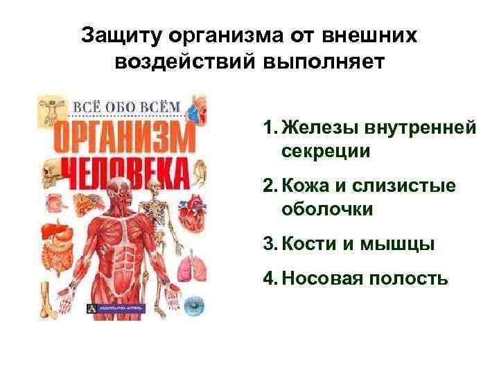 Защищен от внешних воздействий. Защита организма человека. Внутренняя защита организма. Внешняя защита организма. Системы органов защищающие организм от воздействия внешней среды.