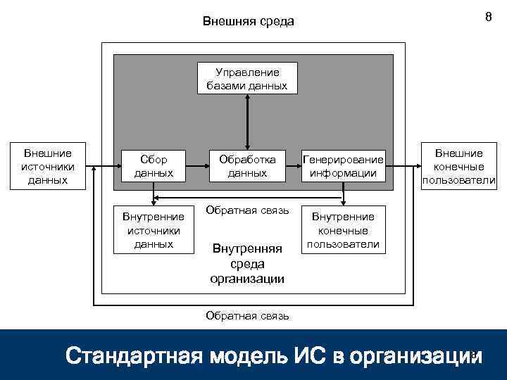 Внешние данные