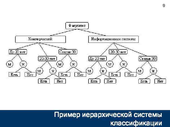 Набор картинок для иерархической классификации