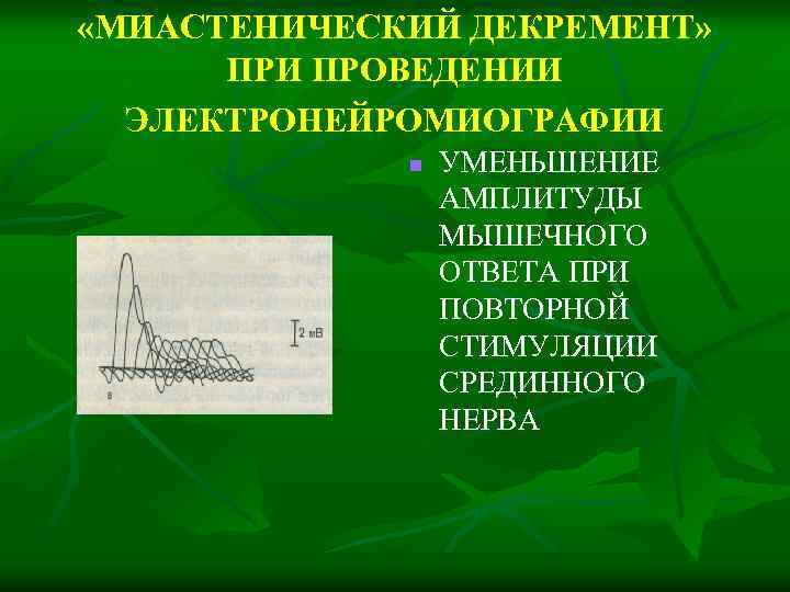  «МИАСТЕНИЧЕСКИЙ ДЕКРЕМЕНТ» ПРИ ПРОВЕДЕНИИ ЭЛЕКТРОНЕЙРОМИОГРАФИИ n УМЕНЬШЕНИЕ АМПЛИТУДЫ МЫШЕЧНОГО ОТВЕТА ПРИ ПОВТОРНОЙ СТИМУЛЯЦИИ