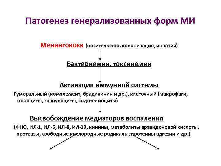 Патогенез генерализованных форм МИ Менингококк (носительство, колонизация, инвазия) Бактериемия, токсинемия Активация иммунной системы Гуморальный