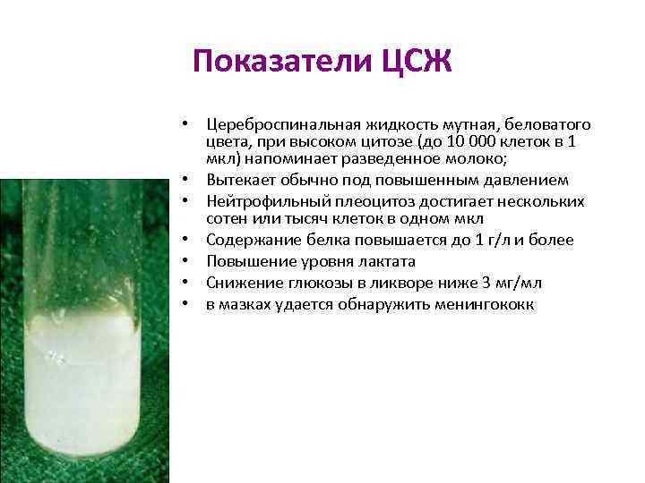Показатели ЦСЖ • Цереброспинальная жидкость мутная, беловатого цвета, при высоком цитозе (до 10 000