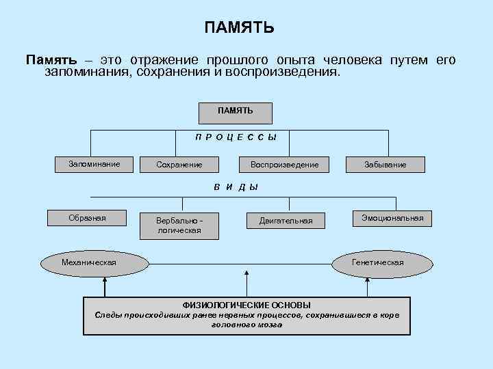 ПАМЯТЬ Память – это отражение прошлого опыта человека путем его запоминания, сохранения и воспроизведения.