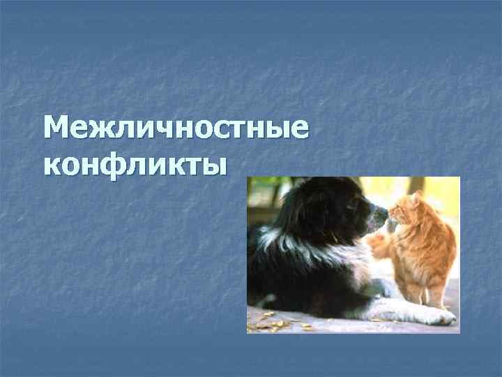 Межличностные конфликты 