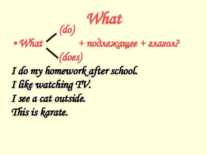 (do) • What + подлежащее + глагол? (does) I do my homework after school.