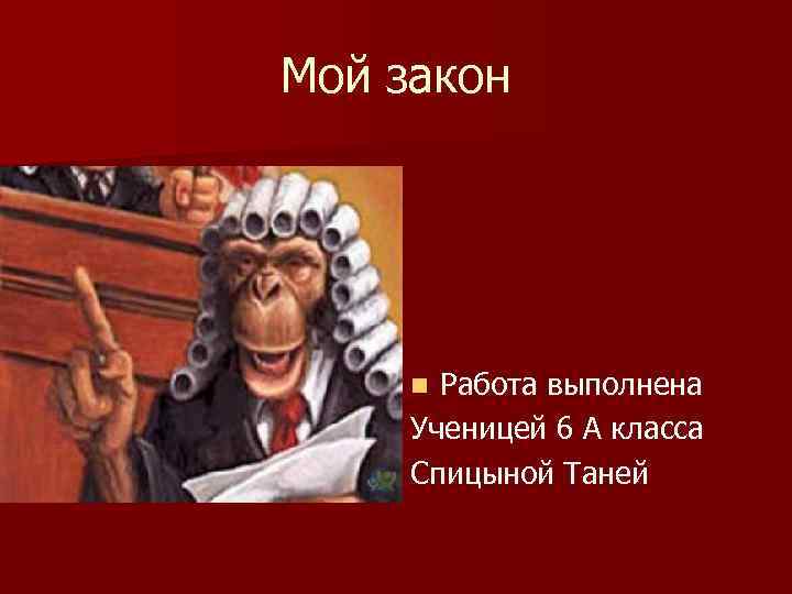 Мой закон Работа выполнена Ученицей 6 А класса Спицыной Таней n 