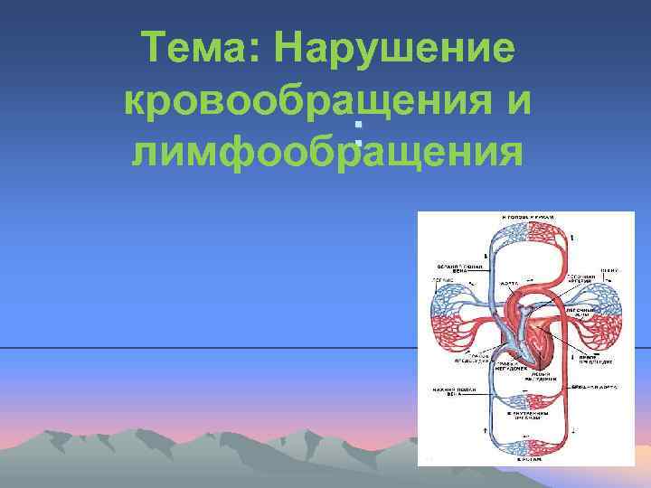 Презентация кровообращение и лимфообращение 8 класс пасечник