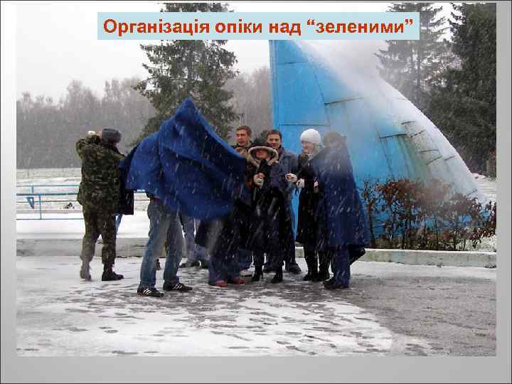 Організація опіки над “зеленими” 
