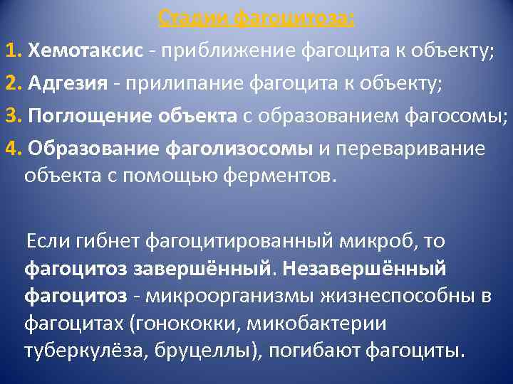 Стадии фагоцитоза: 1. Хемотаксис - приближение фагоцита к объекту; 2. Адгезия - прилипание фагоцита