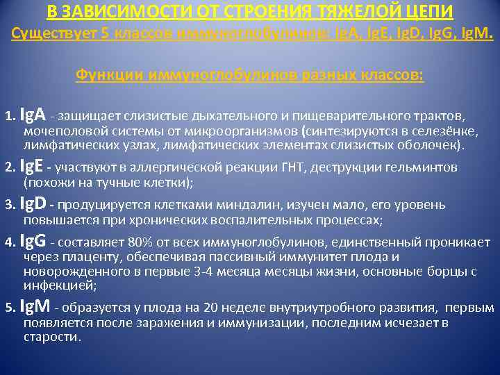 В ЗАВИСИМОСТИ ОТ СТРОЕНИЯ ТЯЖЕЛОЙ ЦЕПИ Существует 5 классов иммуноглобулинов: Ig. А, Ig. Е,