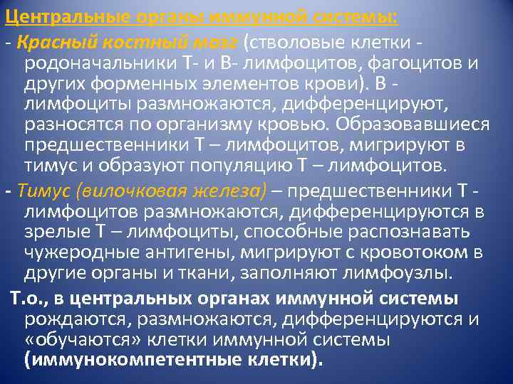 Центральные органы иммунной системы: - Красный костный мозг (стволовые клетки - родоначальники Т- и
