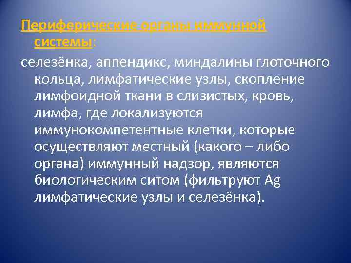 Периферические органы иммунной системы: селезёнка, аппендикс, миндалины глоточного кольца, лимфатические узлы, скопление лимфоидной ткани