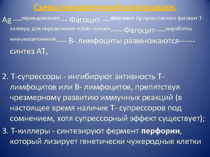 Схема межклеточной кооперации: Ag ---переваривание--- Фагоцит ---фрагмент Ag представляет фагоцит Тхелперу для определения «свой-чужой»