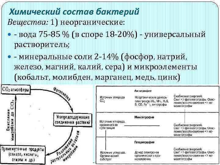 Химический состав бактерий Вещества: 1) неорганические: вода 75 85 % (в споре 18 20%)