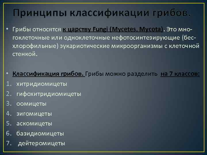 Принципы классификации грибов. • Грибы относятся к царству Fungi (Mycetes, Mycota). Это многоклеточные или