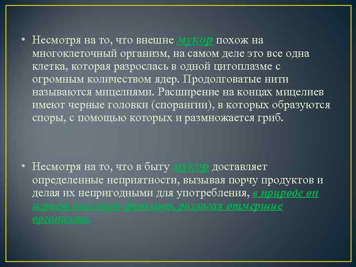  • Несмотря на то, что внешне мукор похож на многоклеточный организм, на самом