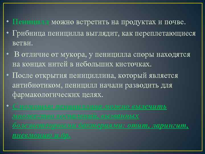  • Пеницилл можно встретить на продуктах и почве. • Грибница пеницилла выглядит, как