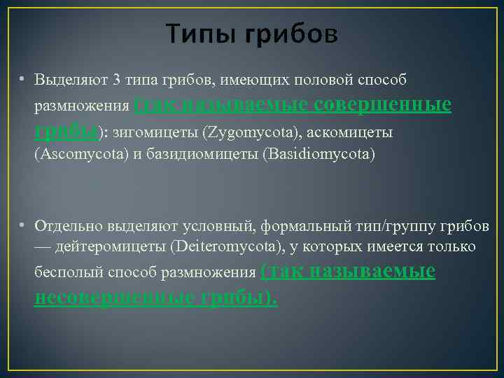 Типы грибов • Выделяют 3 типа грибов, имеющих половой способ размножения (так называемые совершенные