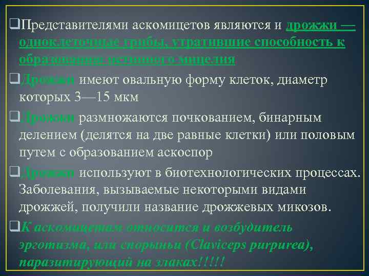 q. Представителями аскомицетов являются и дрожжи — одноклеточные грибы, утратившие способность к образованию истинного