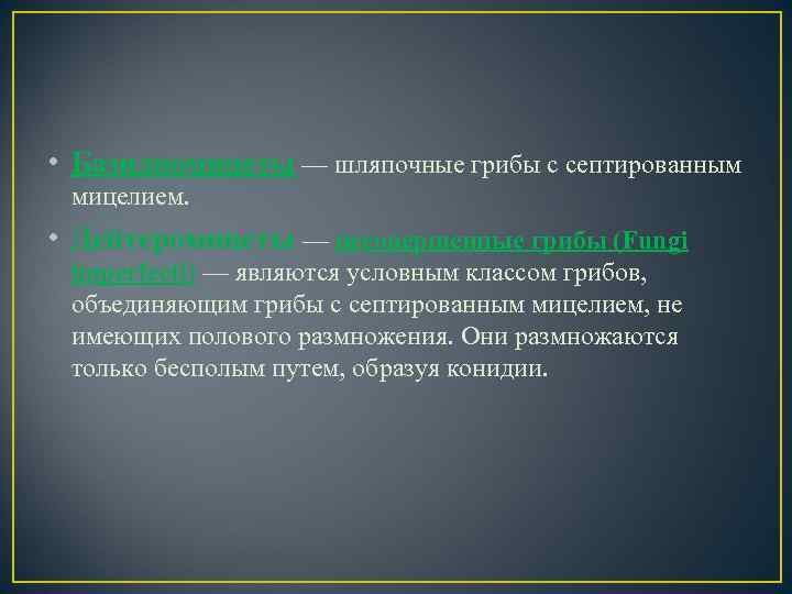  • Базидиомицеты — шляпочные грибы с септированным мицелием. • Дейтеромицеты — несовершенные грибы