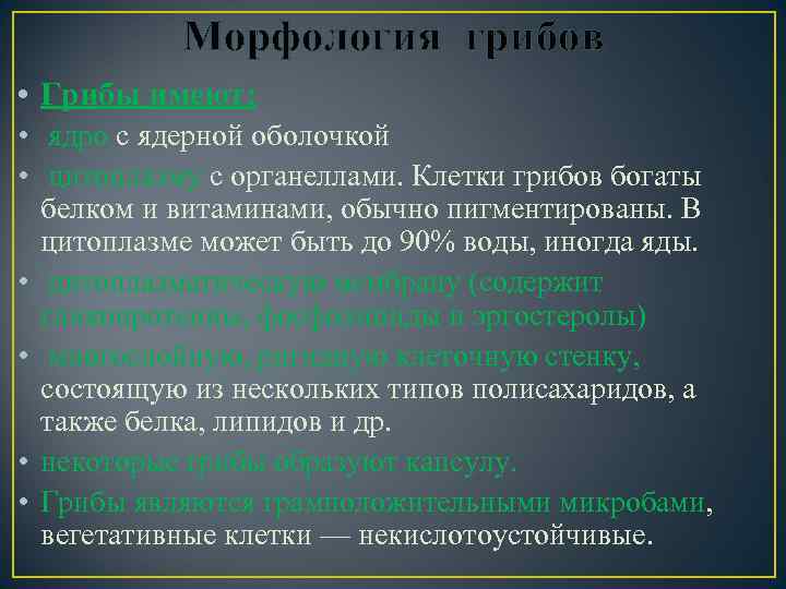 Морфология грибов • Грибы имеют: • ядро с ядерной оболочкой • цитоплазму с органеллами.