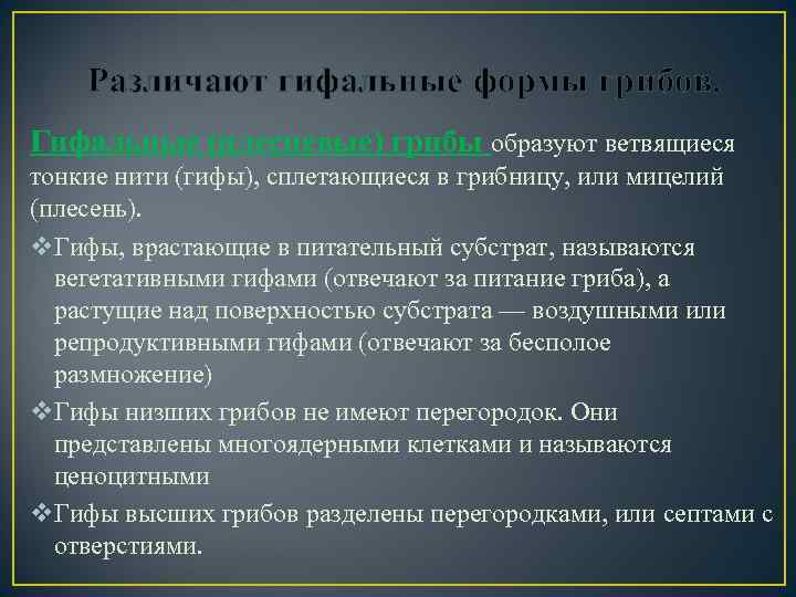 Различают гифальные формы грибов. Гифальные (плесневые) грибы образуют ветвящиеся тонкие нити (гифы), сплетающиеся в