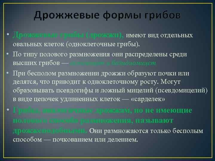 Дрожжевые формы грибов • Дрожжевые грибы (дрожжи), имеют вид отдельных овальных клеток (одноклеточные грибы).