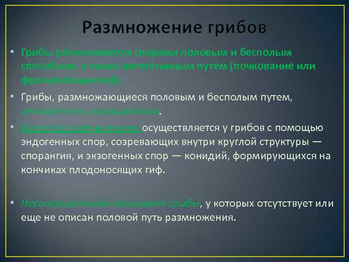 Размножение грибов • Грибы размножаются спорами половым и бесполым способами, а также вегетативным путем