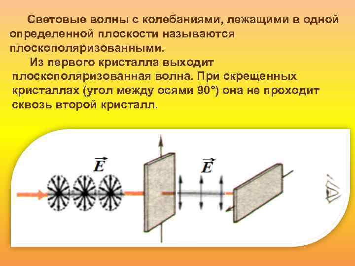 Световые волны с колебаниями, лежащими в одной определенной плоскости называются плоскополяризованными. Из первого кристалла