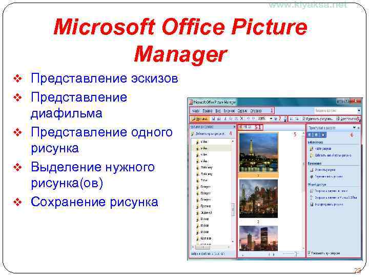 Microsoft Office Picture Manager v Представление эскизов v Представление диафильма v Представление одного рисунка