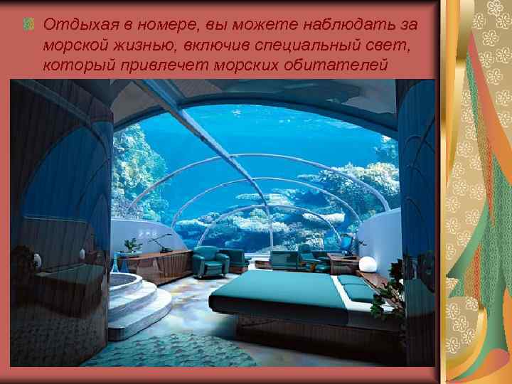 Отдыхая в номере, вы можете наблюдать за морской жизнью, включив специальный свет, который привлечет