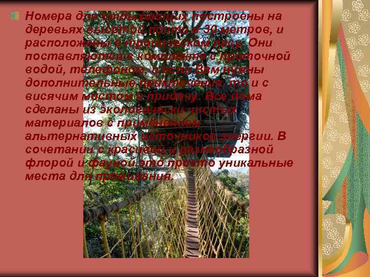 Номера для отдыхающих построены на деревьях высотой почти в 30 метров, и расположены в