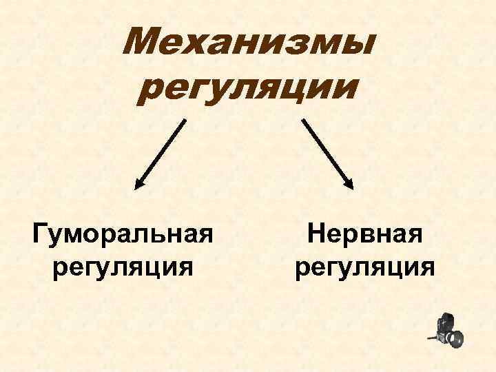 Механизмы регуляции Гуморальная регуляция Нервная регуляция 