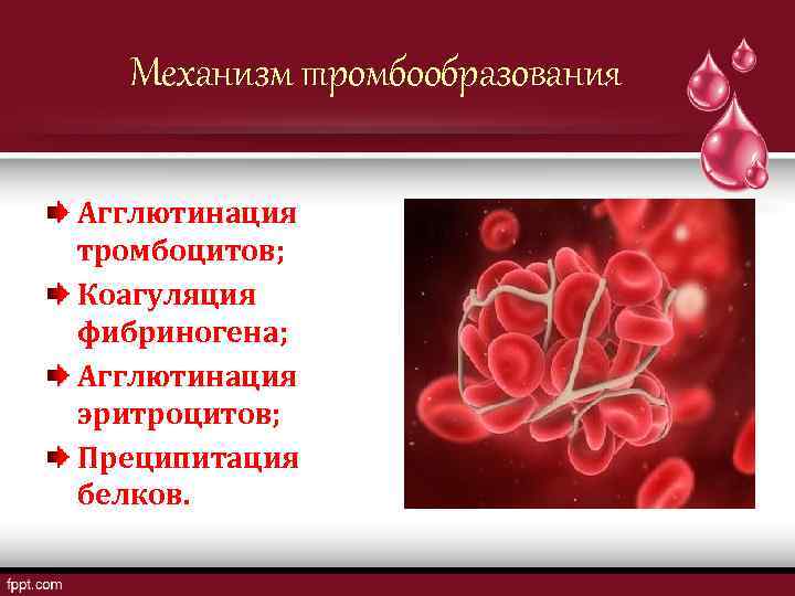 Фибриноген входит в состав эритроцитов