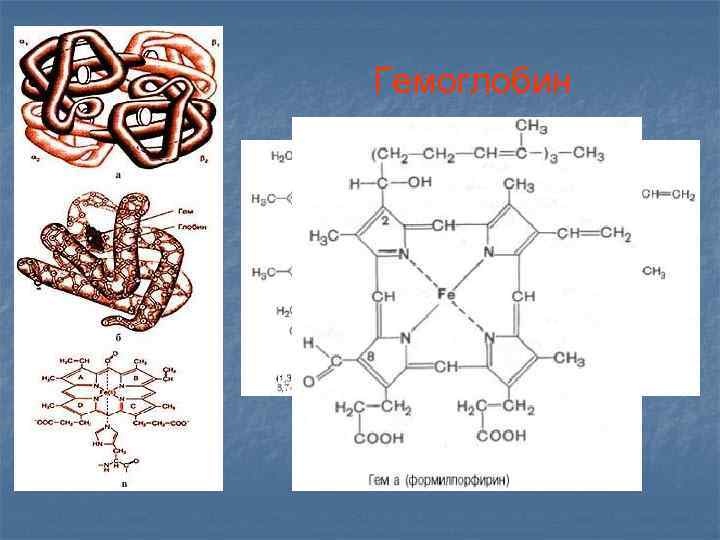 Гемоглобин 