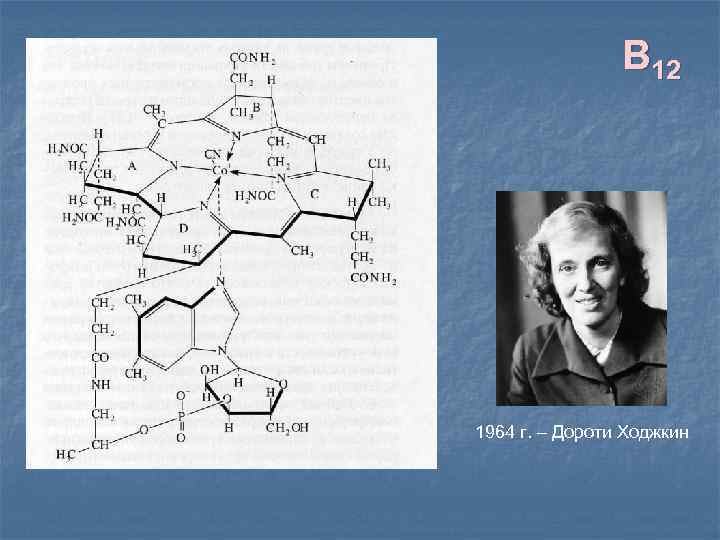 B 12 1964 г. – Дороти Ходжкин 
