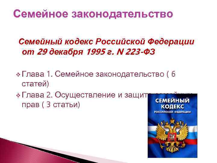 Статья 42 российской федерации