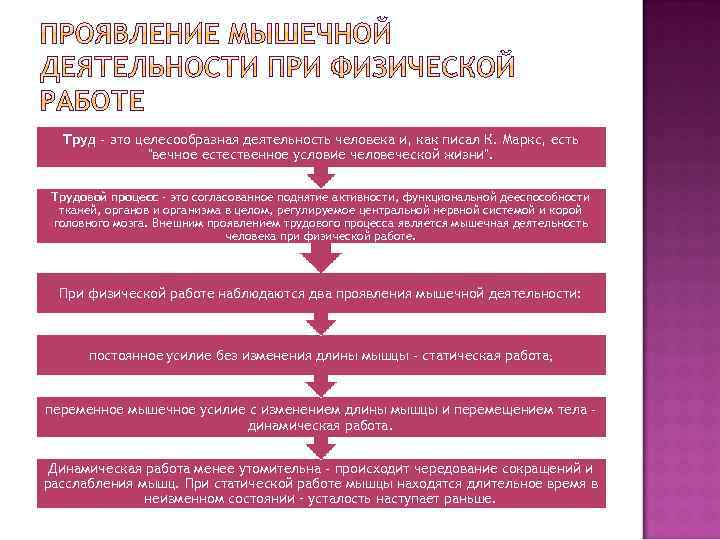  Труд - это целесообразная деятельность человека и, как писал К. Маркс, есть 