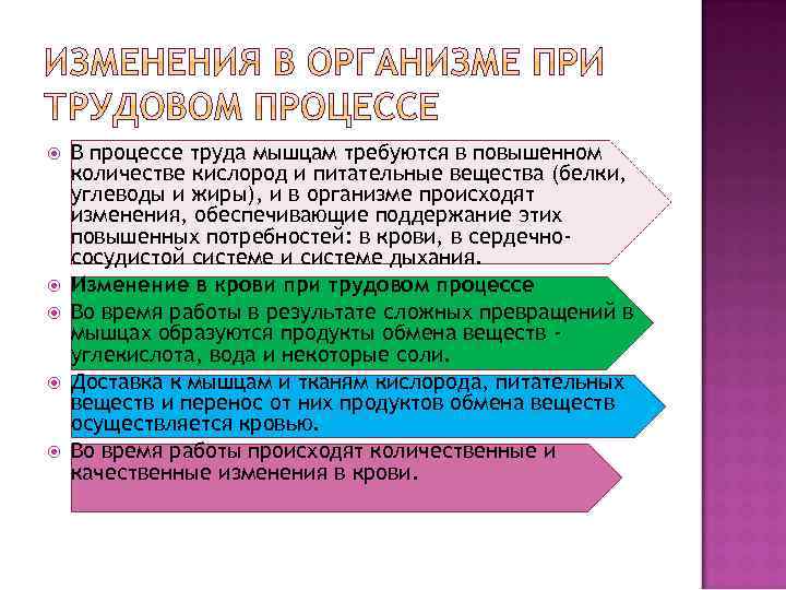  В процессе труда мышцам требуются в повышенном количестве кислород и питательные вещества (белки,