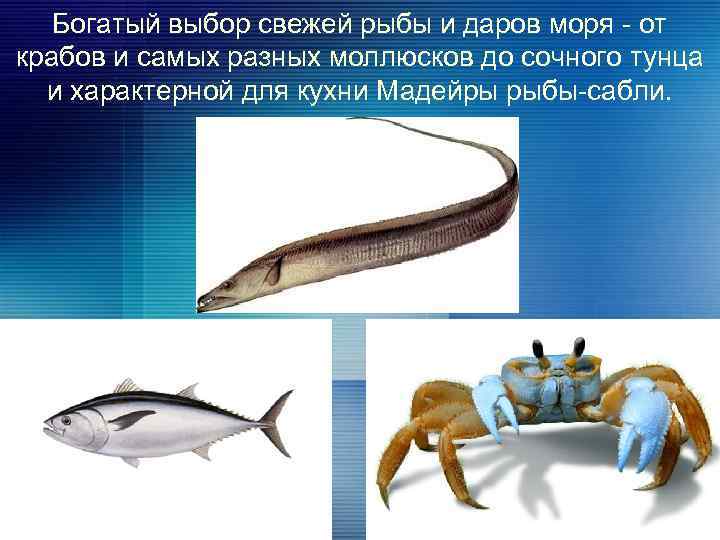 Богатый выбор свежей рыбы и даров моря - от крабов и самых разных моллюсков