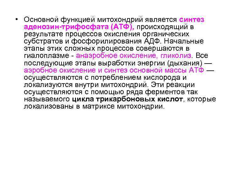  • Основной функцией митохондрий является синтез аденозин-трифосфата (АТФ), происходящий в результате процессов окисления