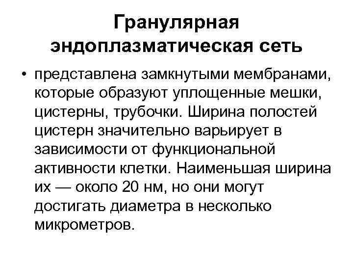 Гранулярная эндоплазматическая сеть • представлена замкнутыми мембранами, которые образуют уплощенные мешки, цистерны, трубочки. Ширина